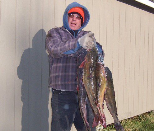 Catfish and Jarboe