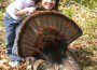 Gobbler and Chelley Scala