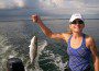 Bluefish in Bay and Chelly Scala