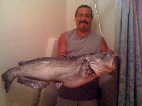 Catfish, Blue caught at Mattawoman Creek held by Brian Flannery Catfish, Blue caught at Mattawoman Creek held by Brian Flannery