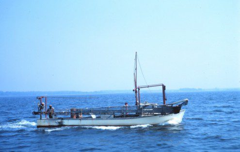 Clam dredger underway This clam dredger was underway in 1968 when this photo was taken by NOAA on the Chesapeake Bay. Clam dredges still operate on the Patuxent.