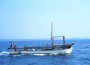 This clam dredger was underway in 1968 when this photo was taken by NOAA on the Chesapeake Bay.  Clam dredges still operate on the Patuxent.