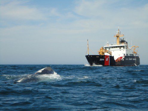 Coast Guard Cutter Elm pulls 4 from water