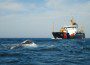 Coast Guard Cutter Elm pulls 4 from water