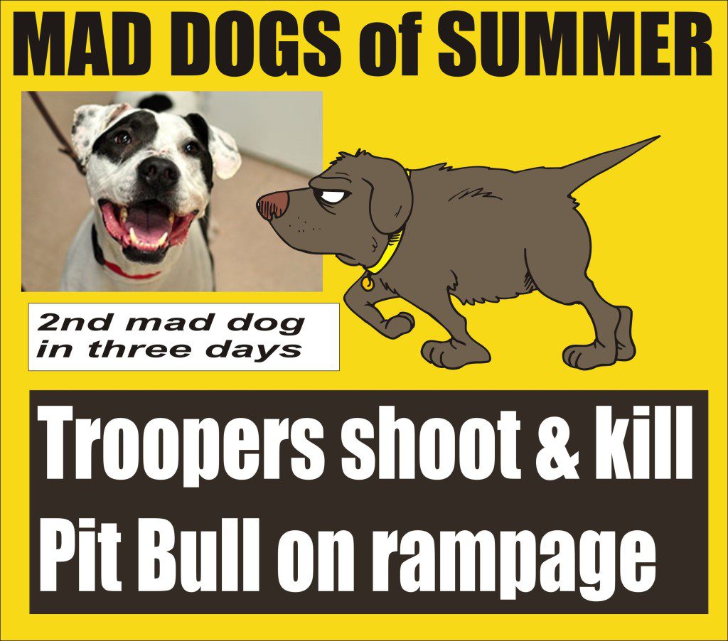 Dog Days Of Summer Advertisements Dog Days Of Summer Advertisements