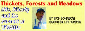 Thickets, Forests & Meadows Rich Johnson
