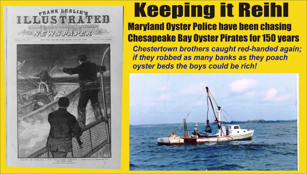 Keeping it Reihl oyster pirates