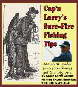 Chesapeake Sure Fire Tips