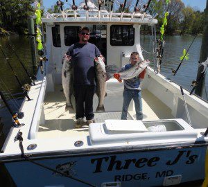 RJ and Jake on the Three J's with big rockfish from Buzz's Marina, the rockfish center of the Chesapeake Bay