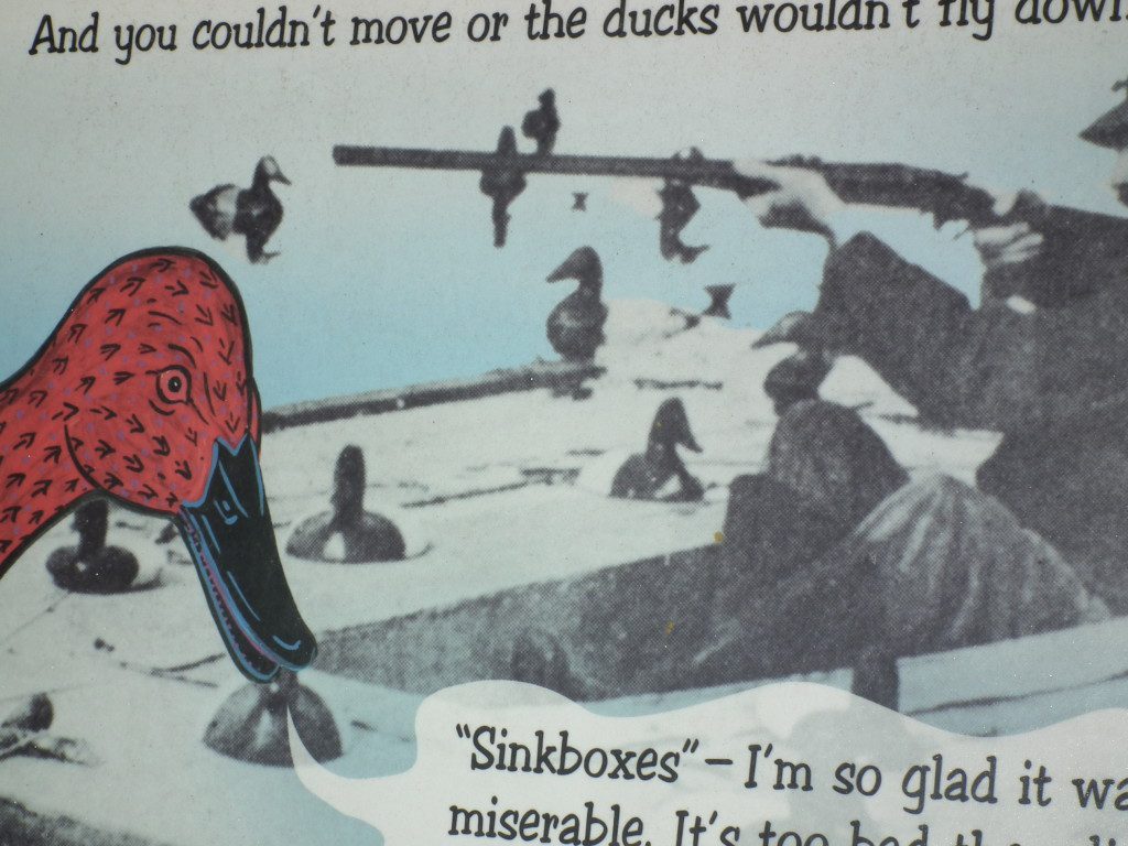 Waterfowl exhibit at Chesapeake Bay Maritime Museum, St. Michael's, Md.  THE CHESAPEAKE TODAY photo