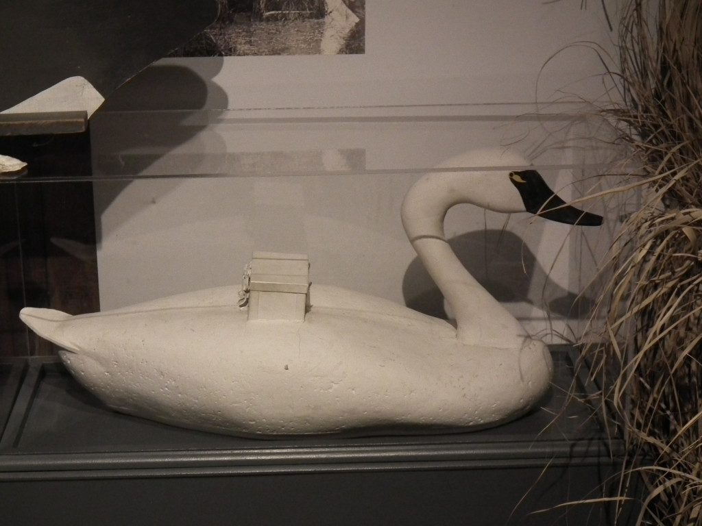 Some of the finest decoys in Tidewater Chesapeake Bay have been donated to the Chesapeake Maritime Museum. THE CHESAPEAKE TODAY photo
