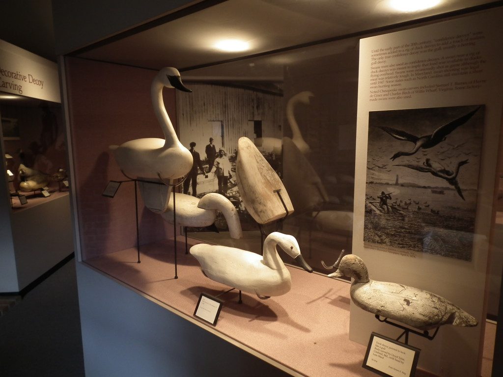 The waterfowl building at the Chesapeake Bay Maritime Museum has an impressive collection of carvings and decoys.  THE CHESAPEAKE TODAY photo 