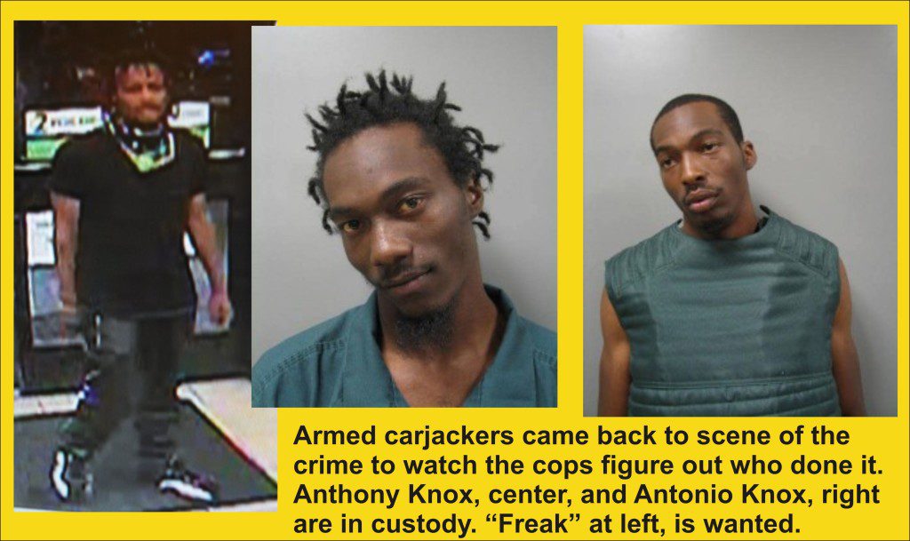 Dumb and Dumber in Armed Carjacking Nabbed