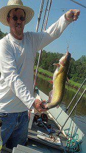 Friday fishing revealed fish found swimming in river by Catfish Bill Davis. THE CHESAPEAKE TODAY photo by Cap'n Larry Jarboe