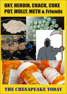Oxy and Friends graphic