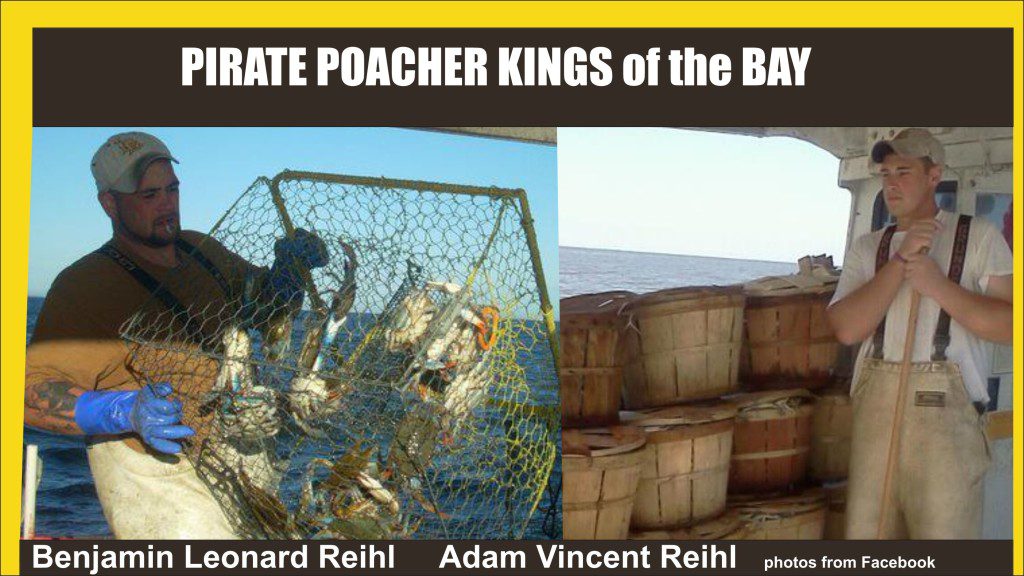 Pirate Poacher Kings of the Bay