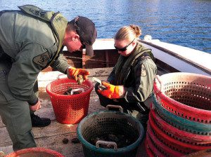 Two NRP officers check a waterman's catch.