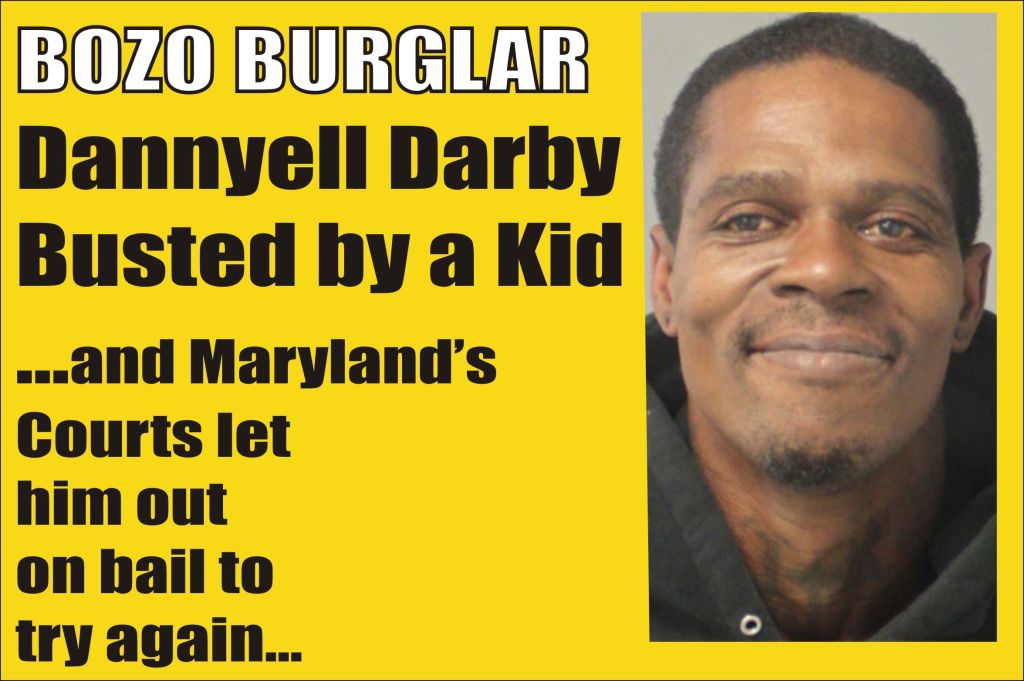 Dannyell Darby Bozo Burglar out on bail