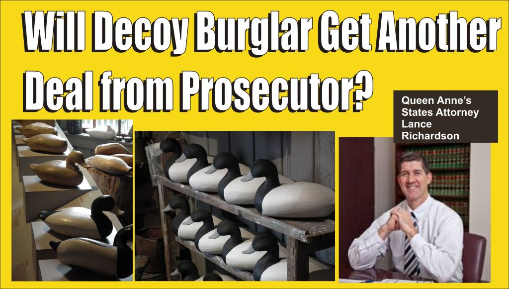 Decoy Burglars
