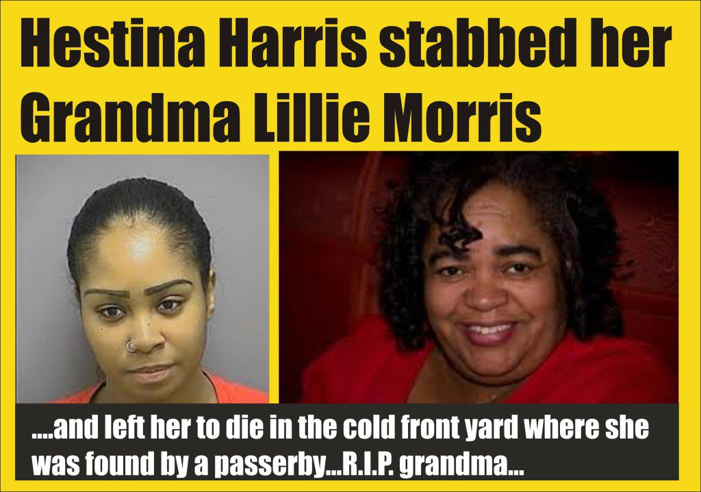 Hestina Harris charged with murder of grandmother in Frederick Md