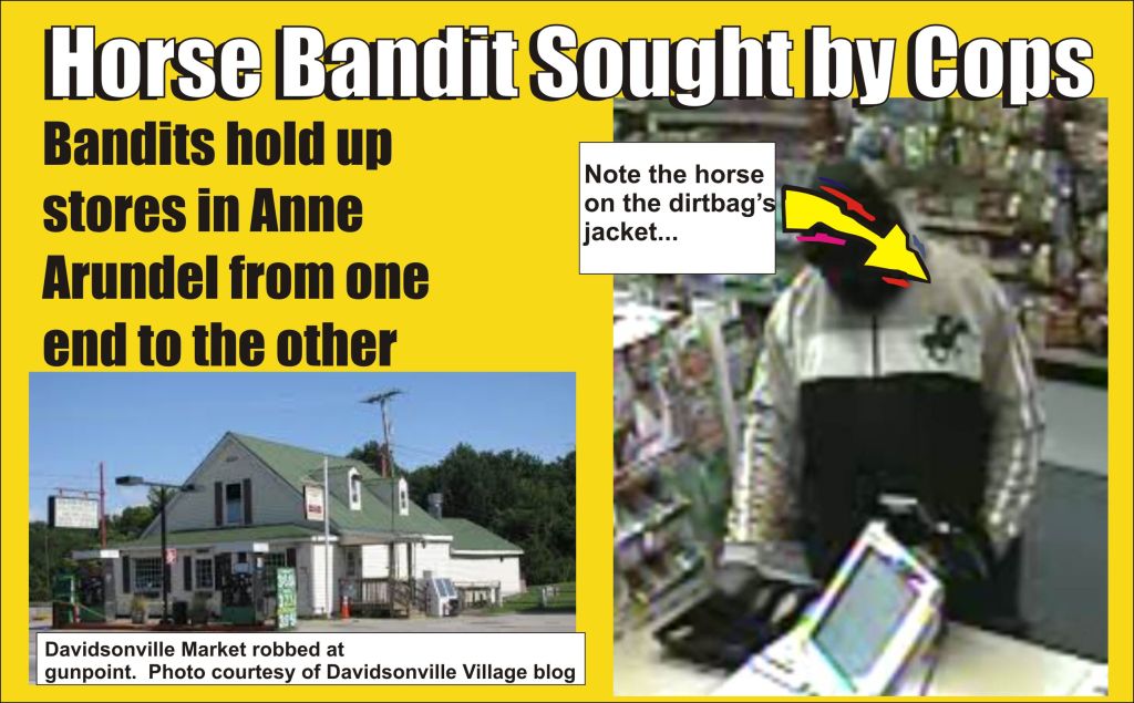 Horse Bandit Sought By AA County Cops
