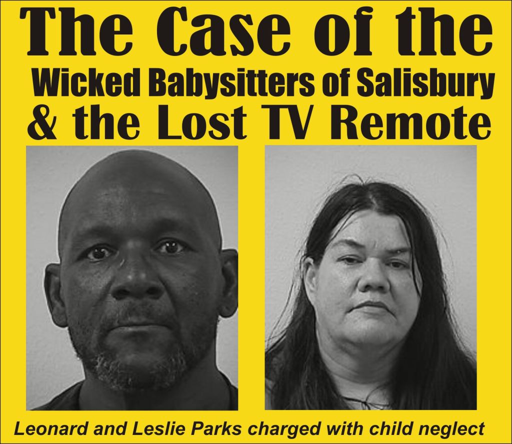 the Case of the Wicked Babysitters of Salisbury