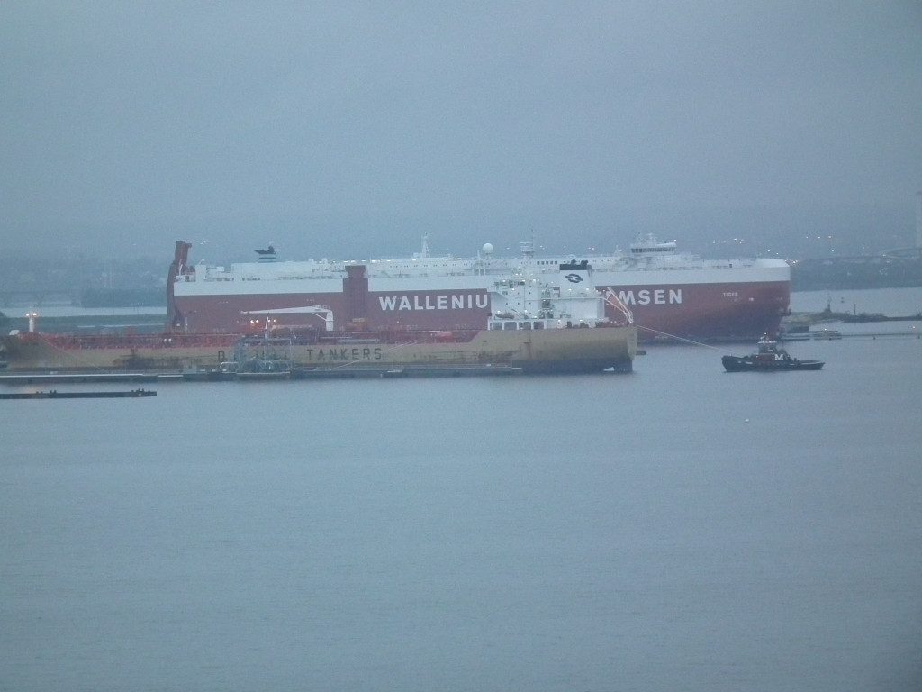 Baltimore harbor freight terminal is one of the busiest ports in the world. THE CHESAPEAKE TODAY photo