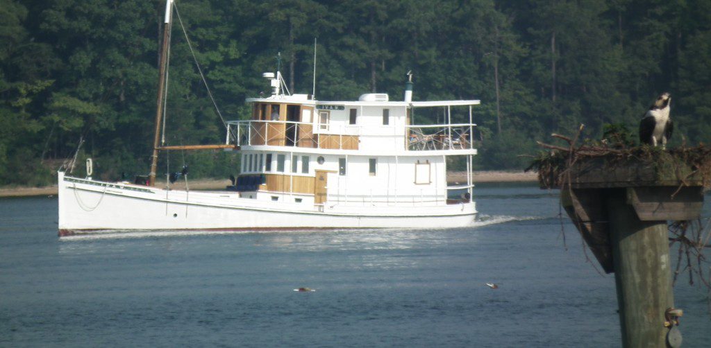 Osprey on nest as IVA W passes by to Potomac River