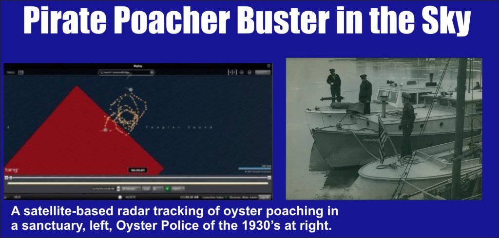 Pirate Poacher Buster in the Sky