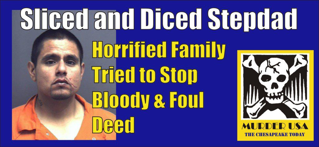 Sliced and Diced Stepdad