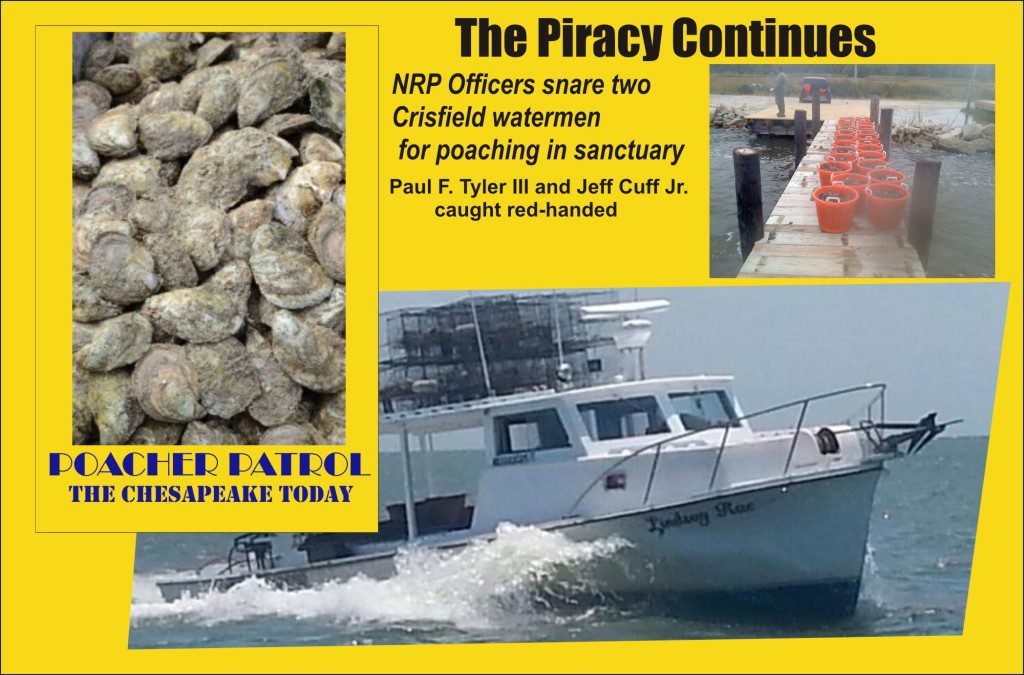 The Piracy Continues Paul Tyler and Jeff Cuff
