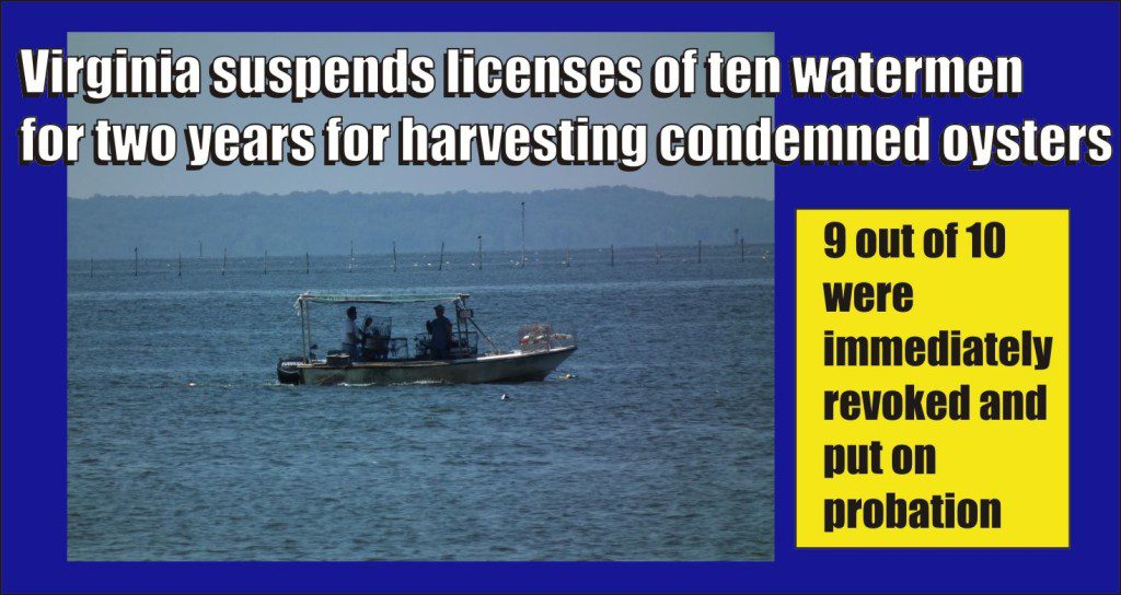 Virginia suspends licences of ten watermen for harvesting oysters from condemned area of James River