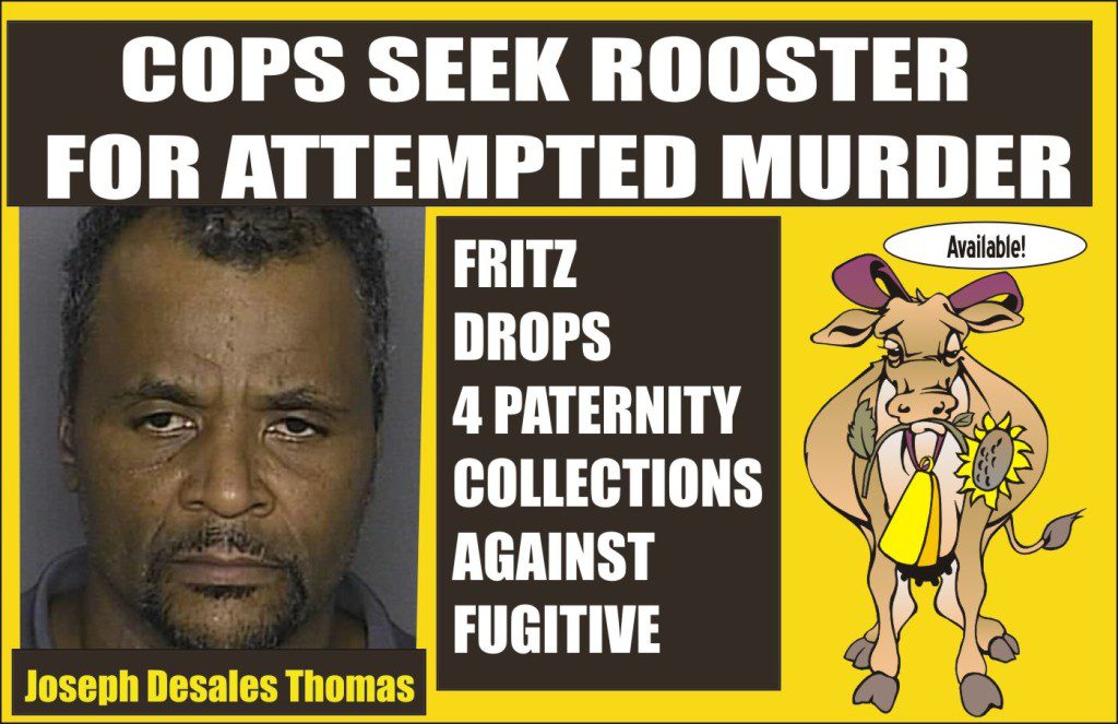 Cops seek rooster for attempted murder