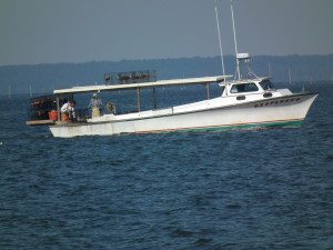 Crab days of Summer. THE CHESAPEAKE TODAY photo