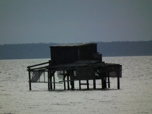 A duck blind is ready for the boat to slide underneath carrying hunters, trusty retriever and supplies to ward off the cold. THE CHESAPEAKE TODAY photo