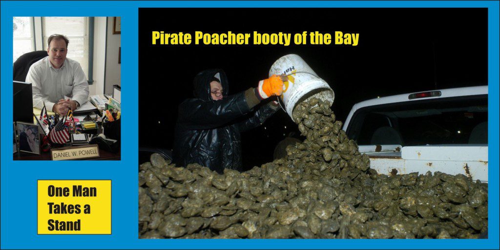 Pirate Poacher of the Bay One Man Takes a Stand