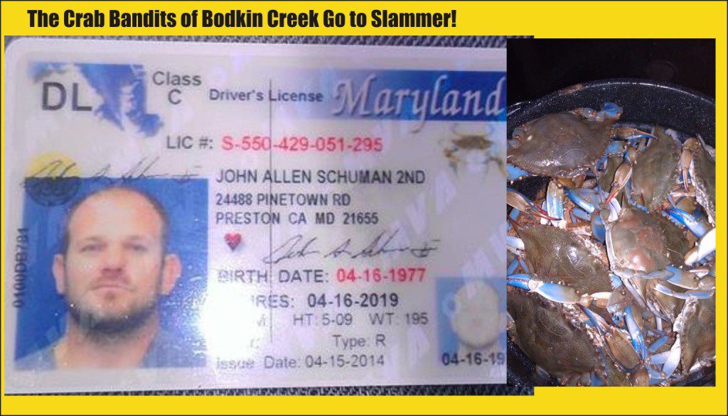John Shuhman posted his drivers permit on FB and his crab catch