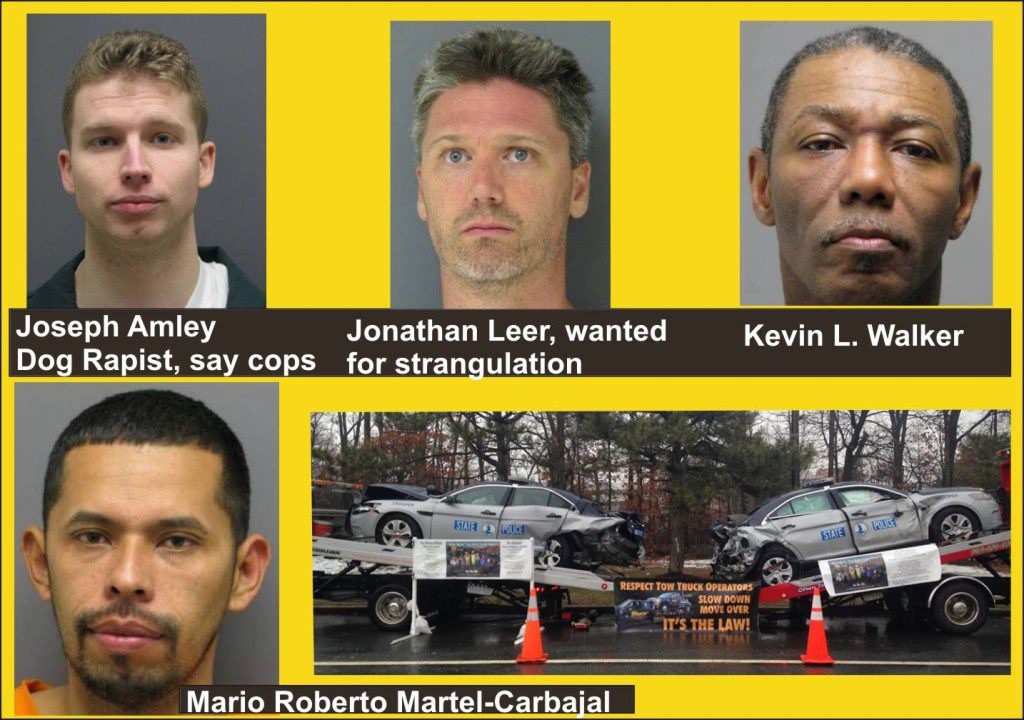 Prince William Police arrests