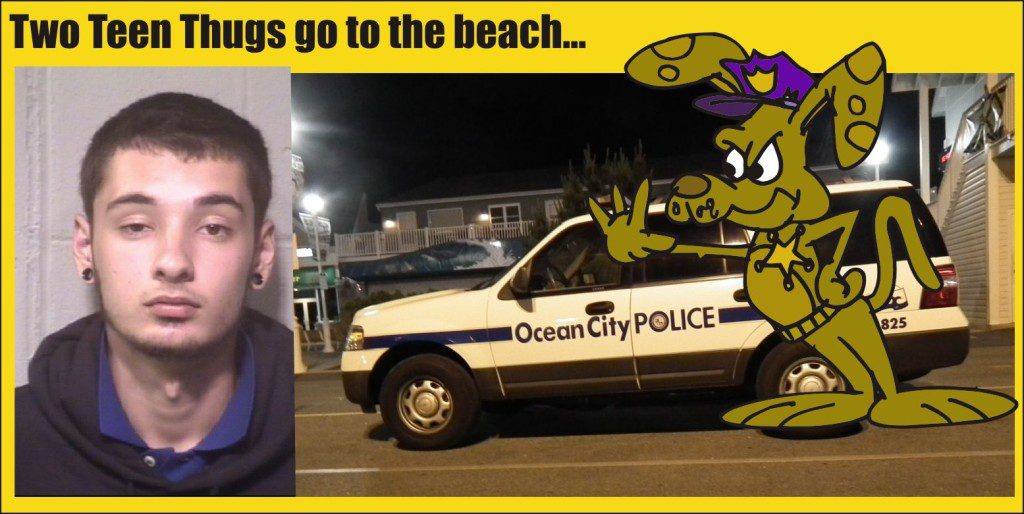 Austin Emerick gang visit Ocean City and steal ATM machine