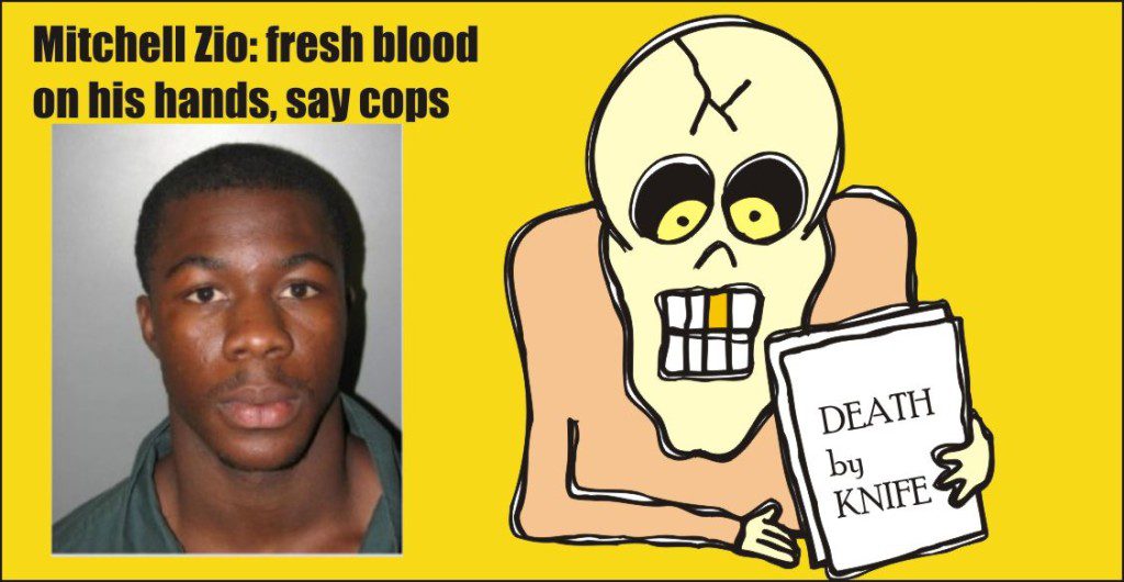 Mitchell Zio murder in Silver Spring 061415