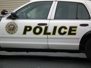 Princess Anne Police patrol car. THE CHESAPEAKE TODAY photo