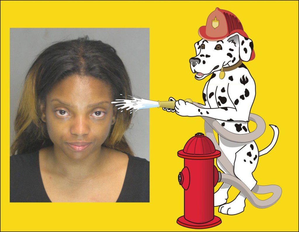 Woman set fire to ex boyfriends house