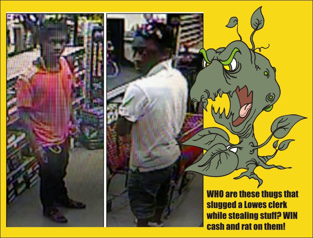 Thugs who slugged at Lowes wanted for theft and assault