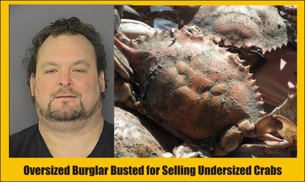 Harvey McKenzie Jr busted for selling undersized crabs