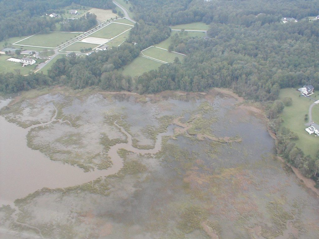 Swamps became creeks with a nine foot storm surge.
