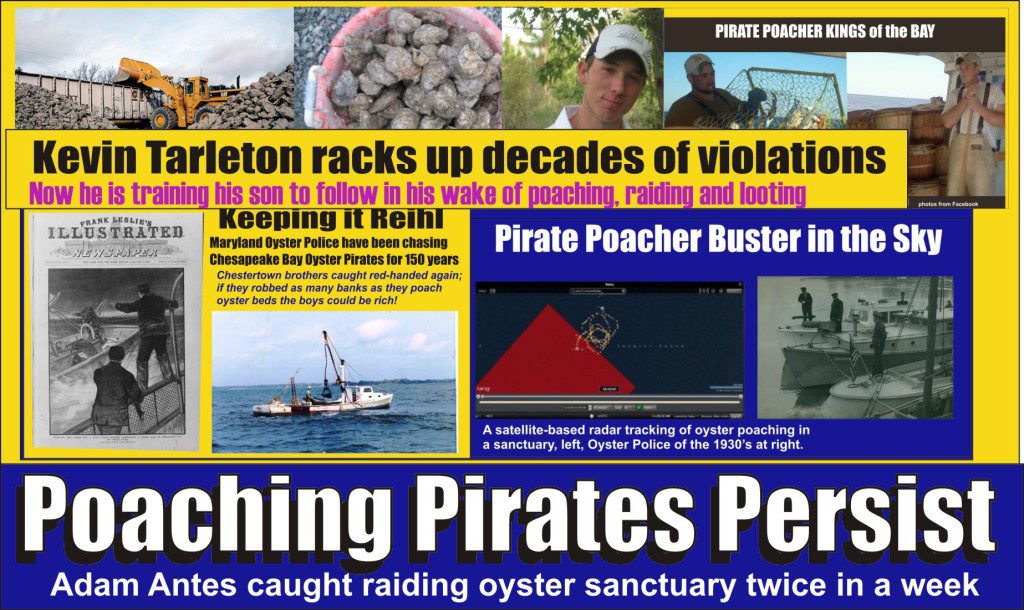 Adam Antes Poaching Pirate