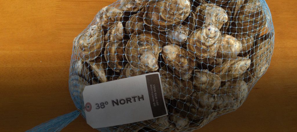 Oyster bag from 38 degree North