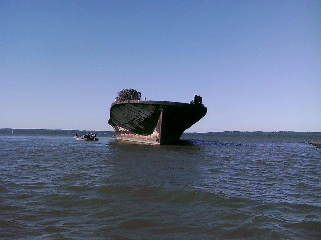Mallows Bay Accomac Wreck THE CHESAPEAKE TODAY photo by Cap'n Larry Jarboe