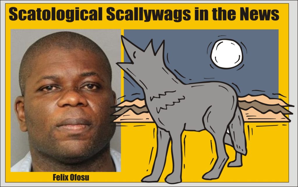 Scatological Scallywags Felix Ofosu