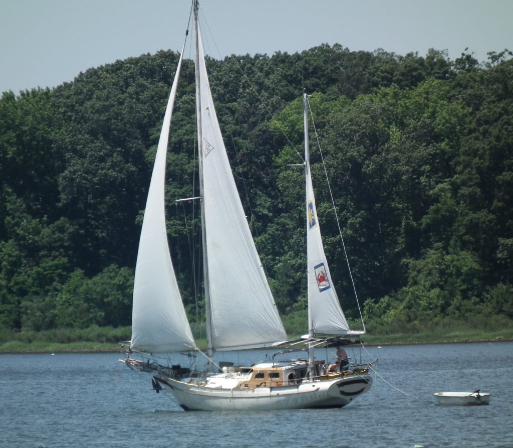 As free as the wind blows - born free to sail THE CHESAPEAKE TODAY photo